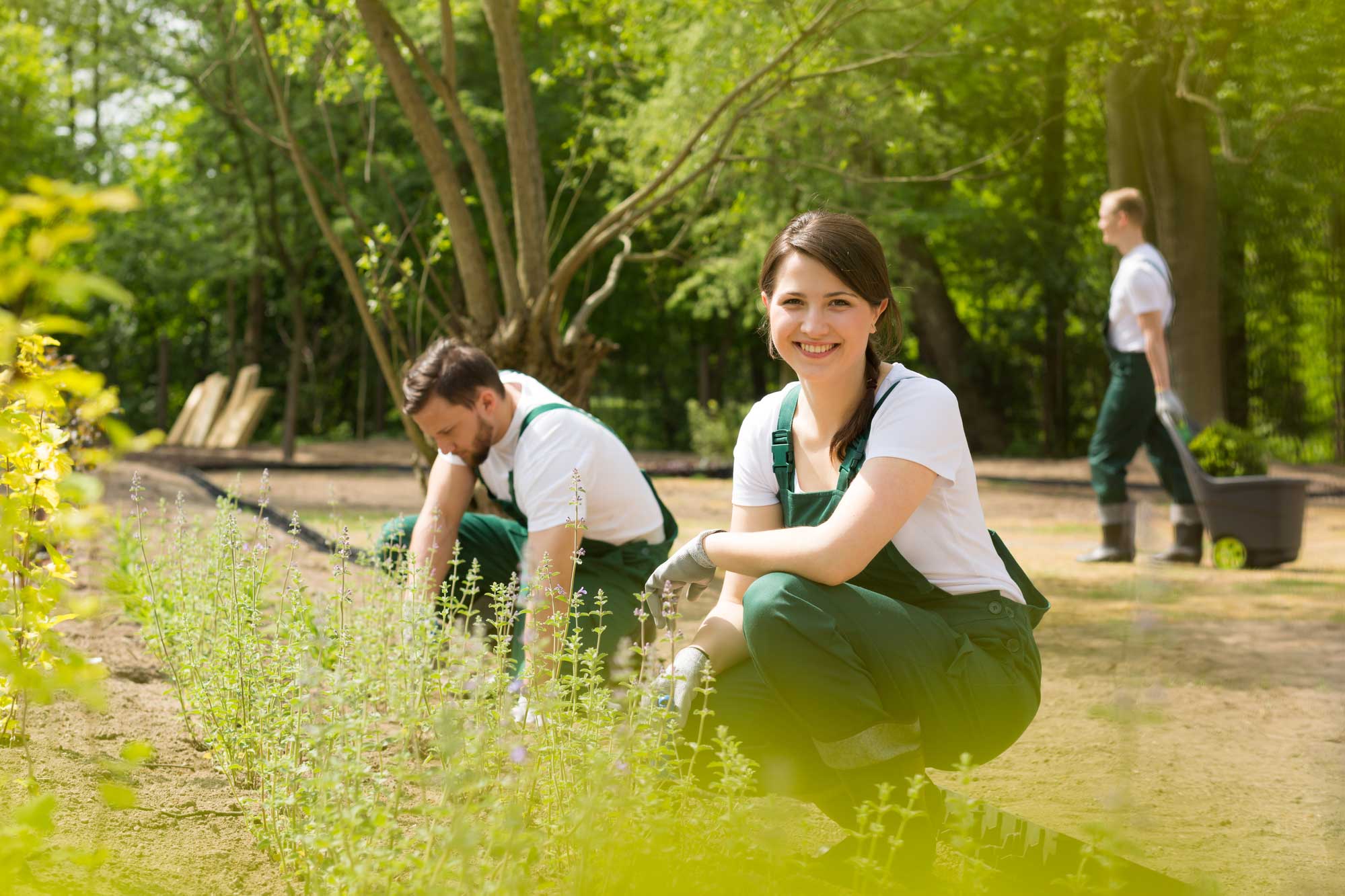 gartenservice kitzbühel